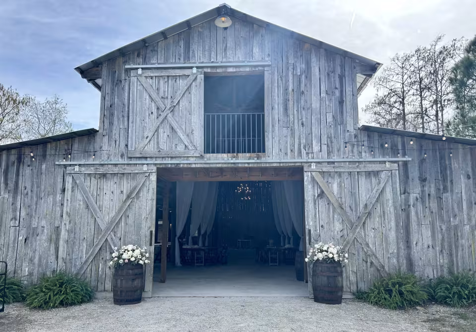 Weathered barn entrance flanked by white hydrangea barrel arrangements